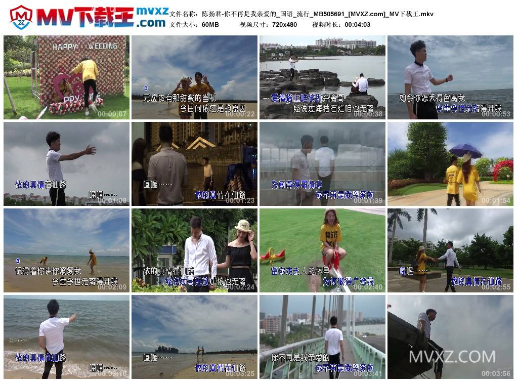 陈扬君-你不再是我亲爱的_国语_流行_MB505691